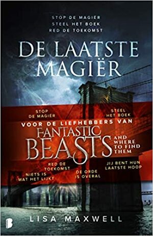 De laatste magiër by Lisa Maxwell