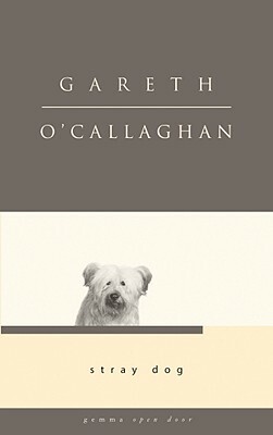 Stray Dog by Gareth O'Callaghan