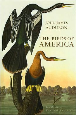 The Birds of America by David Allen Sibley, John James Audubon