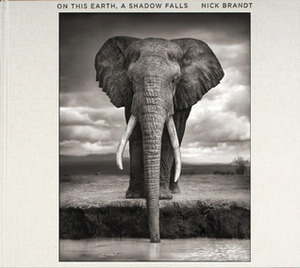 On This Earth, A Shadow Falls by Nick Brandt