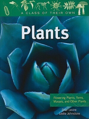 Plants: Flowering Plants, Ferns, Mosses, and Other Plants by Shar Levine, Leslie Johnstone