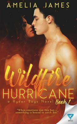 Wildfire Hurricane by Amelia James