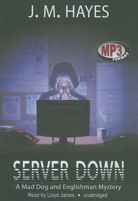 Server Down by J.M. Hayes