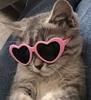 ushna3's profile picture