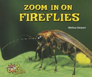 Zoom in on Fireflies by Melissa Stewart