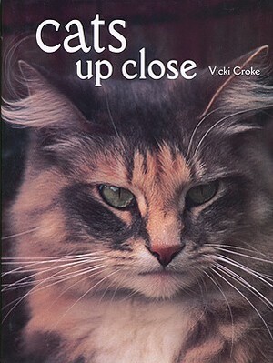 Cats Up Close by Vicki Constantine Croke