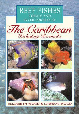 Reef Fishes Corals and Invertebrates of the Caribbean : A Diver's Guide by Lawson Wood, Elizabeth Wood