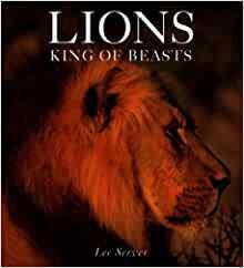 Lions: King of Beasts by Lee Server