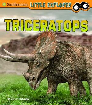 Triceratops by Janet Riehecky