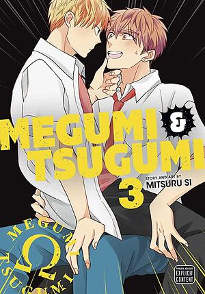 Megumi & Tsugumi, Vol. 3 by Mitsuru Si