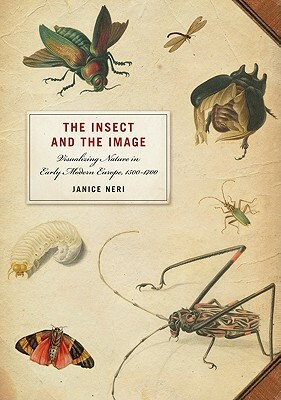 The Insect and the Image by Janice Neri