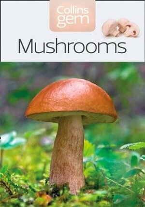 Mushrooms by Patrick Harding