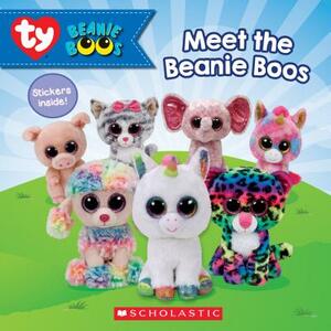 Meet the Beanie Boos by Joan Emerson