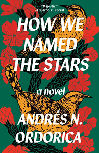 How We Named the Stars by Andrés N. Ordorica