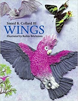 Wings by Sneed B. Collard III