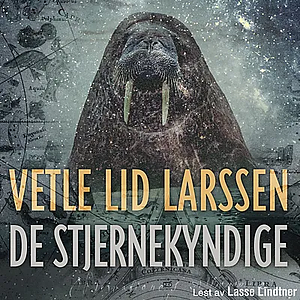 De stjernekyndige  by Vetle Lid Larssen