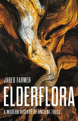 Elderflora: A Modern History of Ancient Trees by Jared Farmer