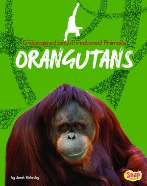 Orangutans by Janet Riehecky