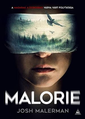 Malorie by Josh Malerman