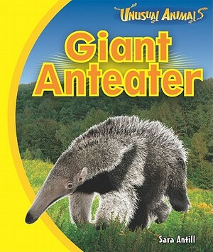 Giant Anteater by Sara Antill