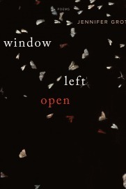 Window LeftOpen: Poems by Jennifer Grotz