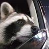 mcgator13's profile picture
