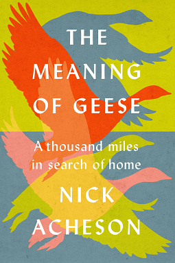 The Meaning of Geese by Nick Acheson
