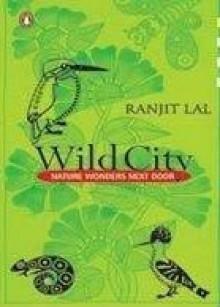 Wild City Nature Wonders Next Door by Ranjit Lal