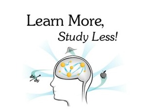 Learn More, Study Less by Scott H. Young