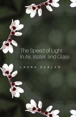 The Speed of Light in Air, Water, and Glass by Laura Scalzo