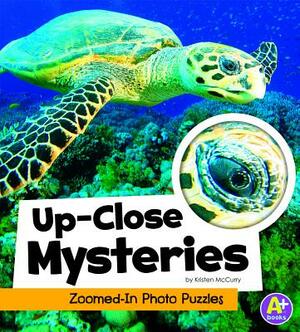 Up-Close Mysteries: Zoomed-In Photo Puzzles by Kristen McCurry