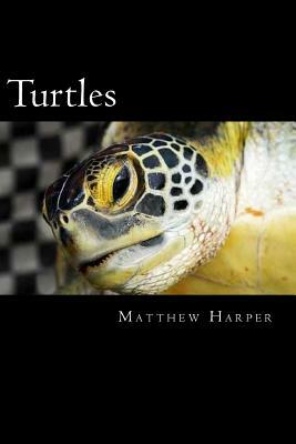 Turtles: A Fascinating Book Containing Turtle Facts, Trivia, Images & Memory Recall Quiz: Suitable for Adults & Children by Matthew Harper