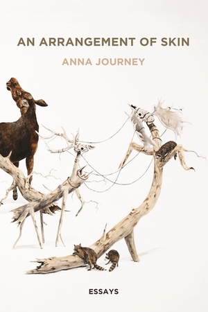 An Arrangement of Skin: Essays by Anna Journey