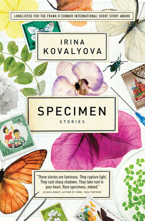 Specimen by Irina Kovalyova