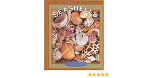 Seashells by Ann O. Squire