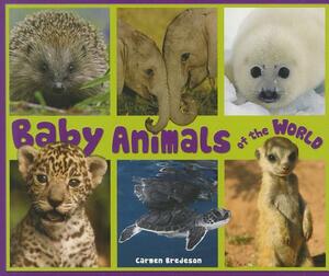 Baby Animals of the World by Carmen Bredeson