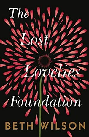 The Lost Lovelies Foundation by Beth Wilson