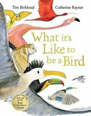 What it's Like to be a Bird by Tim Birkhead