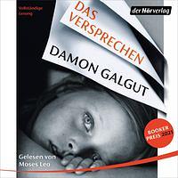 Das Versprechen by Damon Galgut