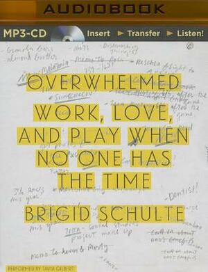 Overwhelmed: Work, Love, and Play When No One Has the Time by Brigid Schulte