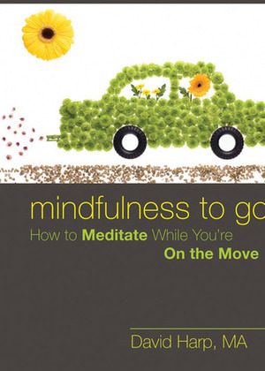 Mindfulness to Go: How to Meditate While You're On the Move by David Harp