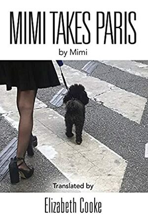 Mimi Takes Paris by Elizabeth Cooke