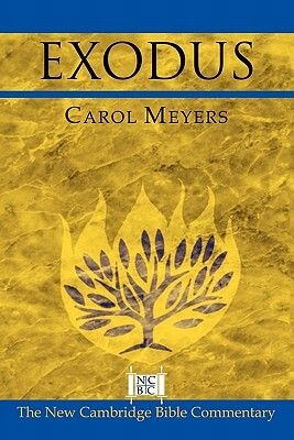 Exodus by Carol Meyers