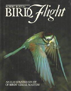 Birdflight: An Illustrated Study of Birds' Aerial Mastery by Robert Burton