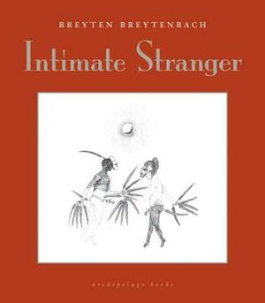 Intimate Stranger: A Writing Book by Breyten Breytenbach
