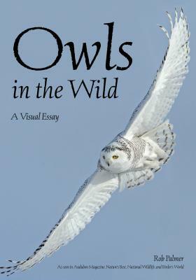 Owls in the Wild: A Visual Essay by Rob Palmer