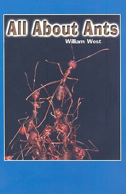 All about Ants by William West