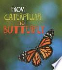 From Caterpillar to Butterfly by Anita Ganeri