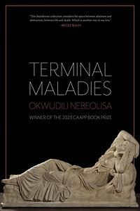 Terminal Maladies  by Okwudili Nebeolisa