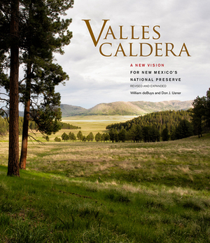 Valles Caldera: A Vision for New Mexico's National Preserve by Don J. Usner, William deBuys